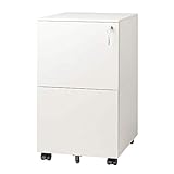 DEVAISE Metall Rollcontainer Büro-Rollcontainer Aktenschrank mit 2 Schubladen für A4, Mobil, Abschließbar, 39 cm x 48 cm x 67,5 cm, Weiß