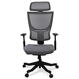 Flexispot BS8 Verstellbare Höhe Verstellbare Design Stuhl BackSupport grau ergonomischer bürostuhl grau(Grau)