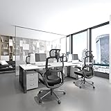 Flexispot BS1G bürostuhl schreibtischstuhl ergonomischer bürostuhl bürosessel Drehstuhl mit Rollen (Hellgrau) - 8