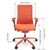 Flexispot BackSupport Bürostuhl BS13, Ergonomisch Drehstuhl Stuhl, Chefsessel, Ergonomic Heightening Design (Rot) - 5