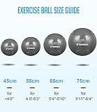 TOMSHOO Anti-Burst Yoga Ball verdickt Stabilit?t Balance Ball Pilates Barre k?rperliche Fitness Gymnastikball 45CM / 55CM / 65CM / 75CM Geschenk Luftpumpe - 8