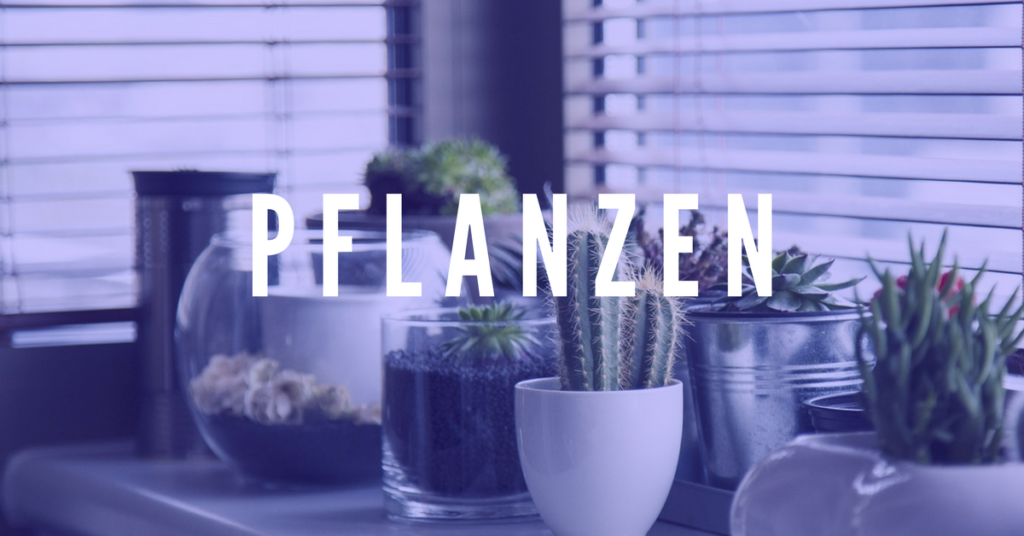 Arbeitsatmosphäre Arbeitsatmosphäre, pfanzen, büro, Büromöbel, Bewegung, Pflanzen, Musik, Zuhause, Bewegung, liebe deinen Job, Vitamine, Obst, Grün im Büro, wohlfühlen, büroarbeit, arbeit, home office, eckschreibtisch, gut fühlen, Arbeitsplatz, 6 Tipps, Produktivität, Vitamine am Arbeitsplatz, Arbeitsplatz reinigen