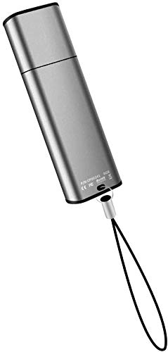 aLLreLi Digital Diktiergerät CP00341 [2-in-1] 8GB Mini USB Speicherstick, Digital Voice Recorder mit Lanyard für Meeting,Vorträge,Interview - 2